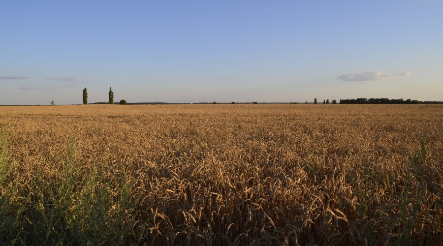 Op-Ed, La Stampa: That agreement which is already waste paper