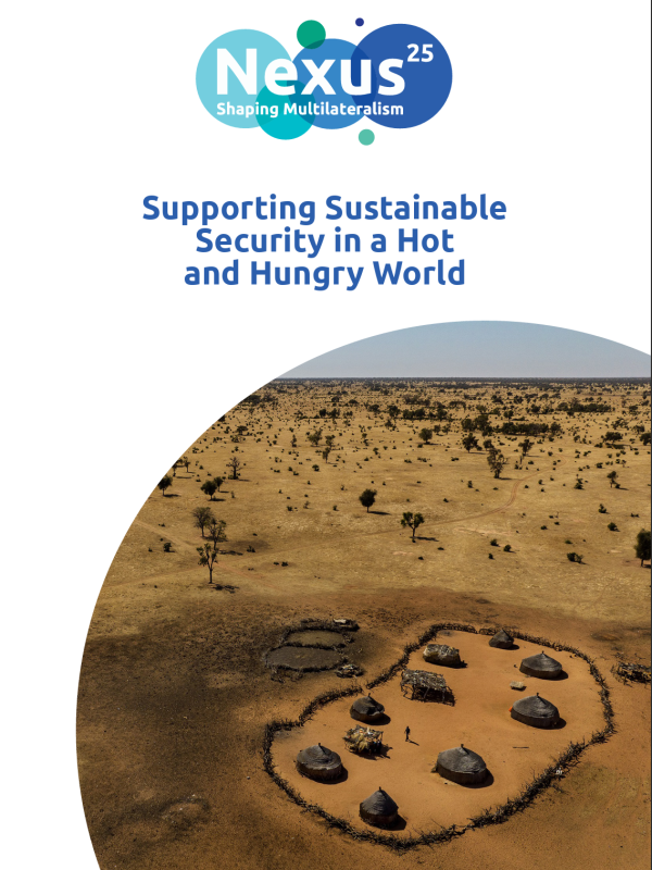 Supporting Sustainable Security in a Hot and Hungry World