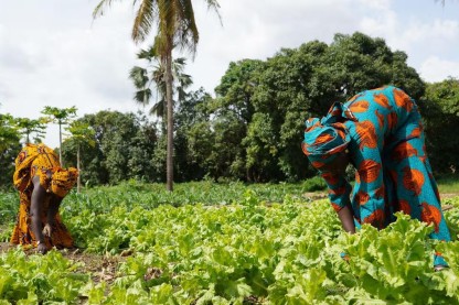 Il Sole 24 Ore: Climate finance in Africa is knocking on the door of the insurance industry - Article